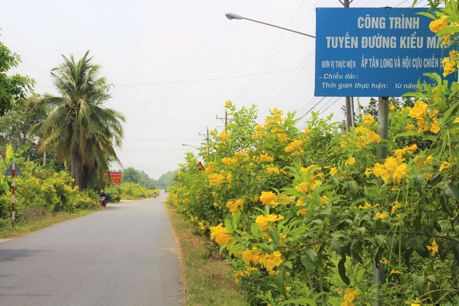 Thị xã Tân Uyên phấn đấu 100% tuyến đường, ngõ hẻm do xã, phường quản lý được chăm sóc, bảo quản, trồng cây xanh, vệ sinh môi trường...